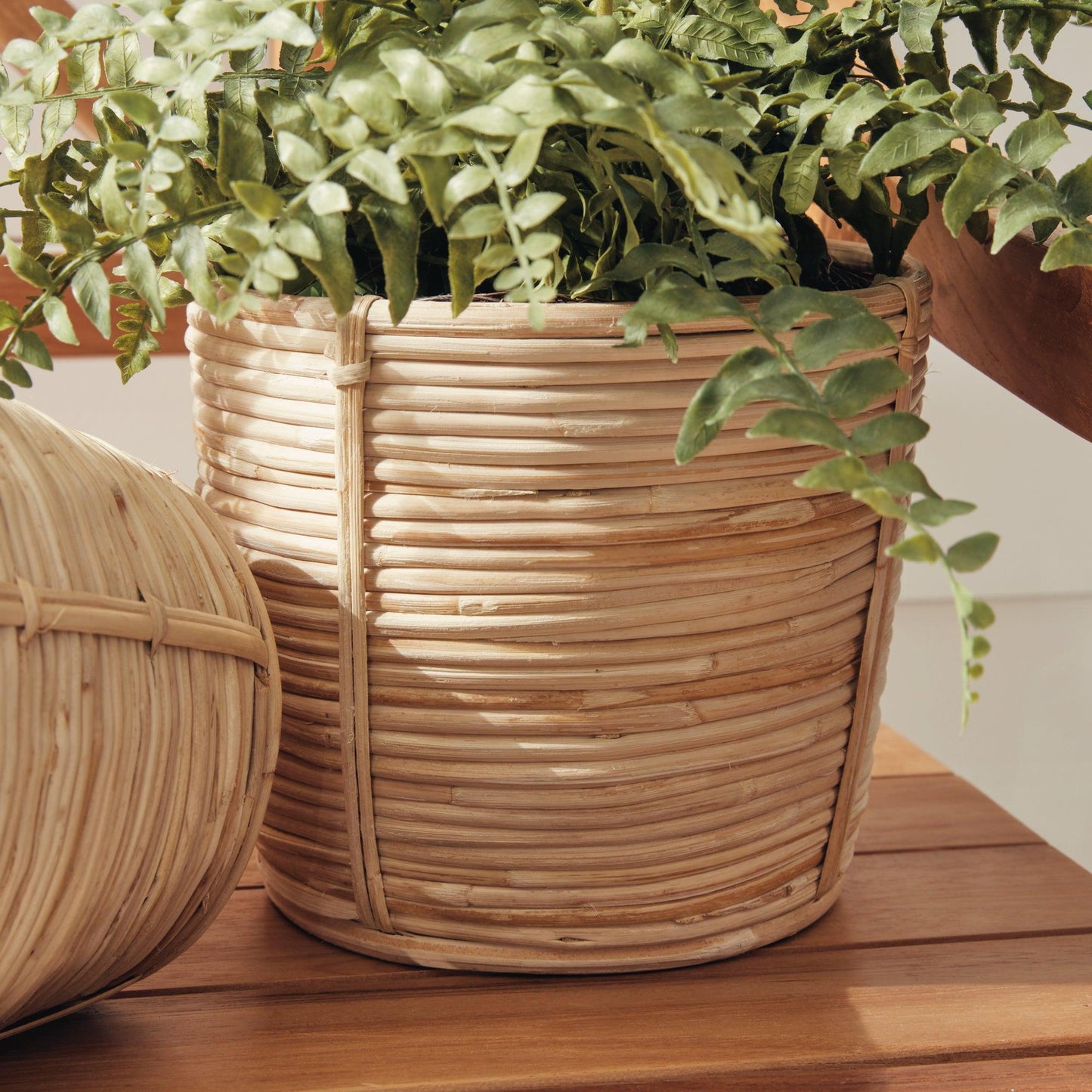 Wicker basket with a fern