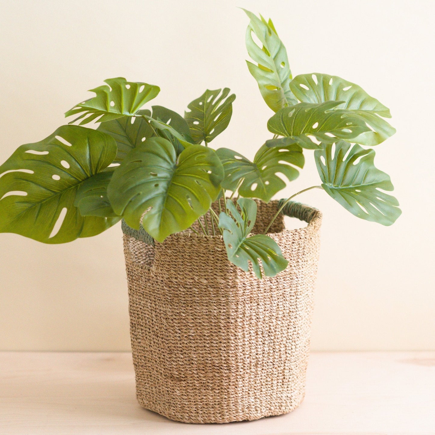 Natural Octagon Basket with Sage Handle