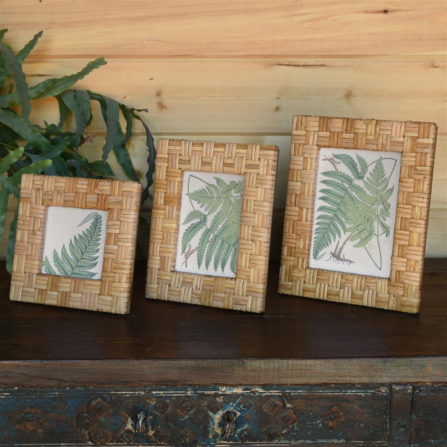 Three rattan picture frames on a wood table with a fern
