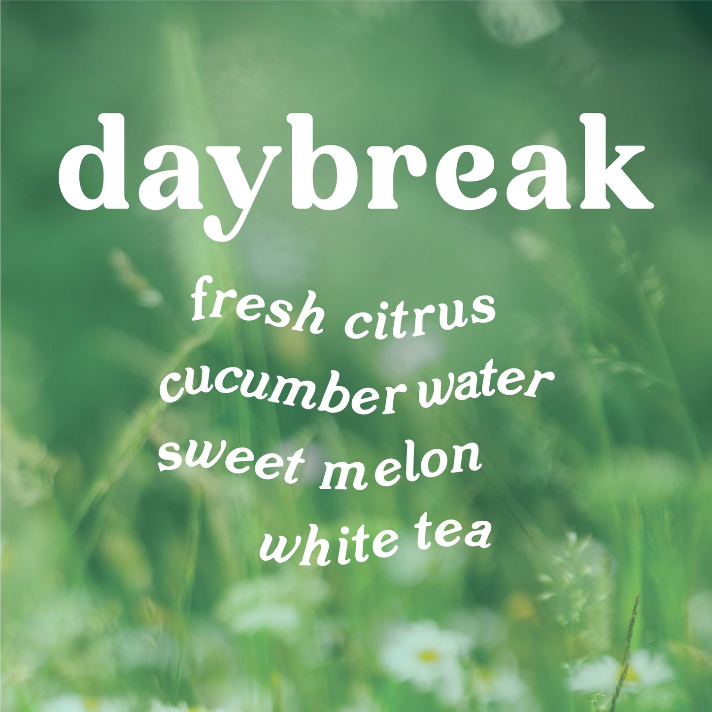 Daybreak 4 oz. Hue Reed Diffuser (Lemon + Cucumber)