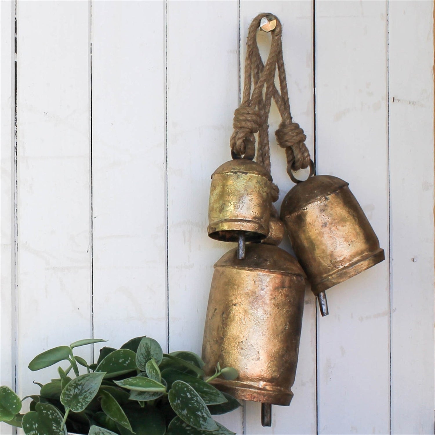 Holiday Decor