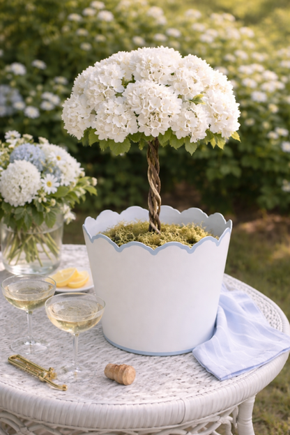 White & Pale Blue Scalloped Chinoiserie Tole Planter & Wastepaper Basket