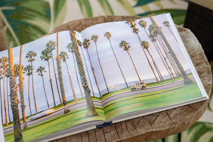 Surf Rides photo spread showing tall palm trees beside a coastal road
