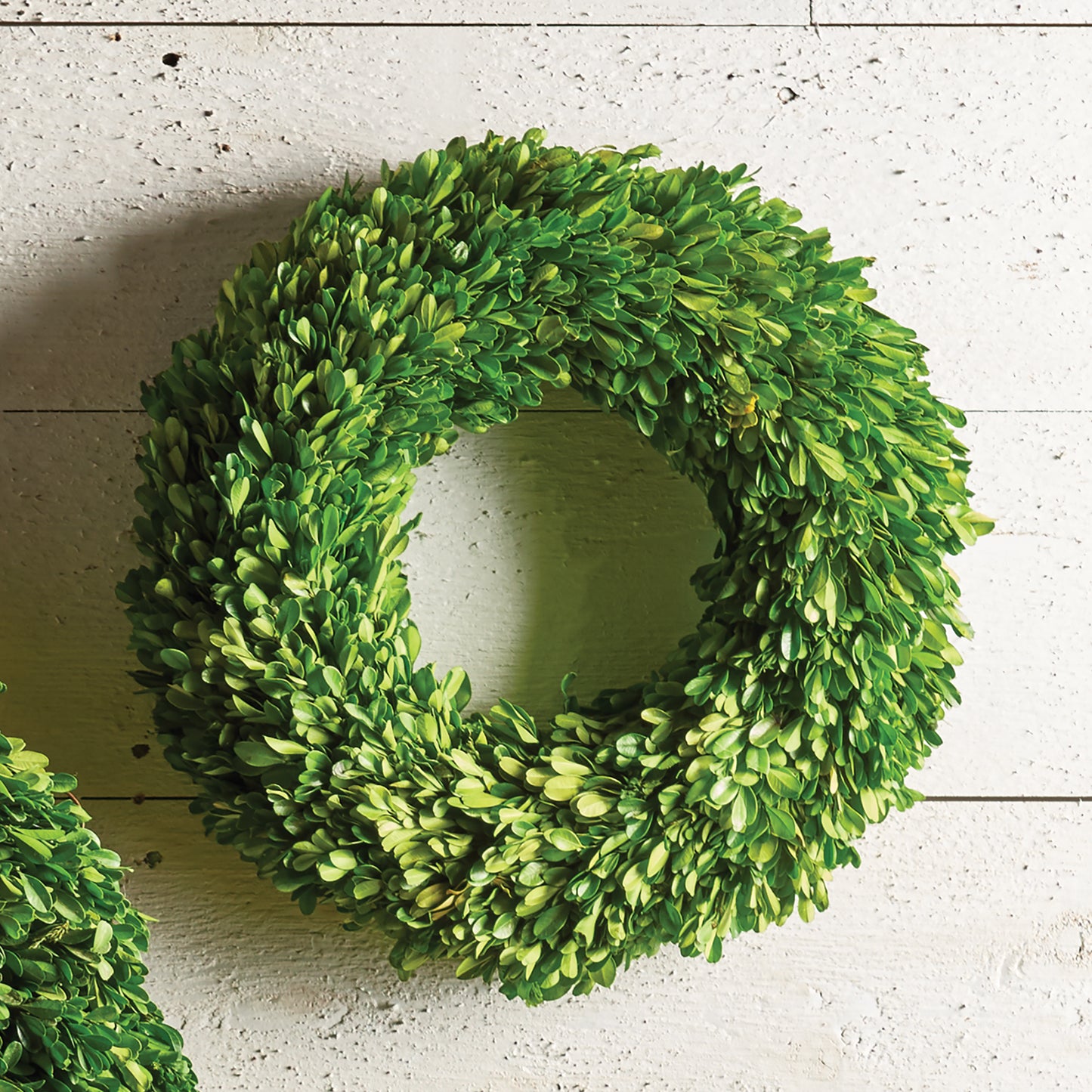 Boxwood Wreaths