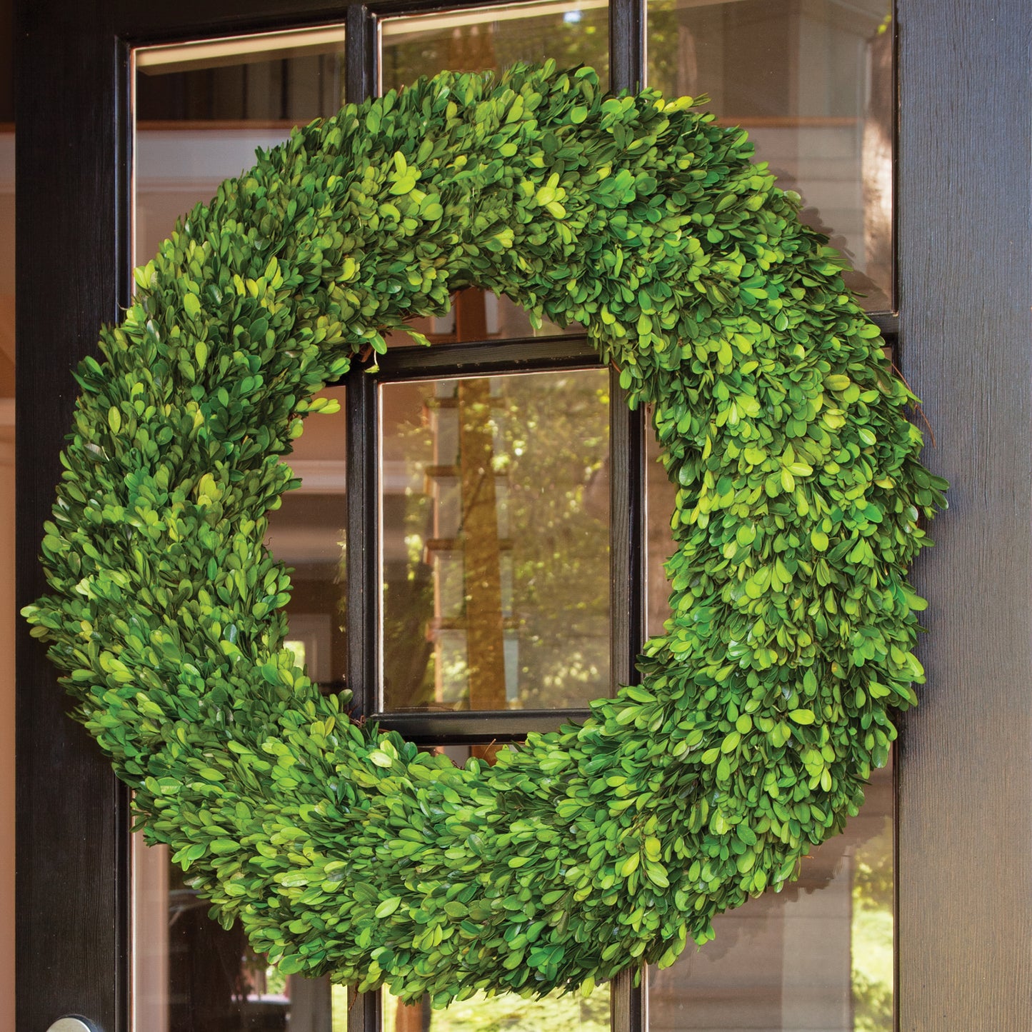 Boxwood Wreaths