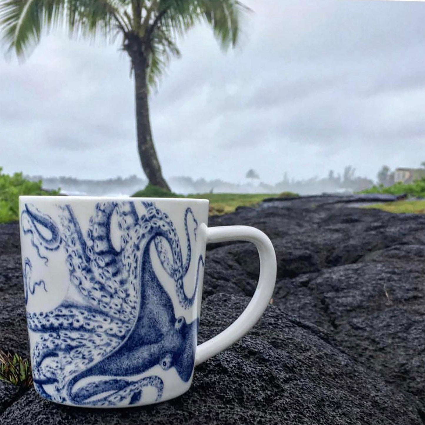 a blue and white coffee cup sitting on top of a rock