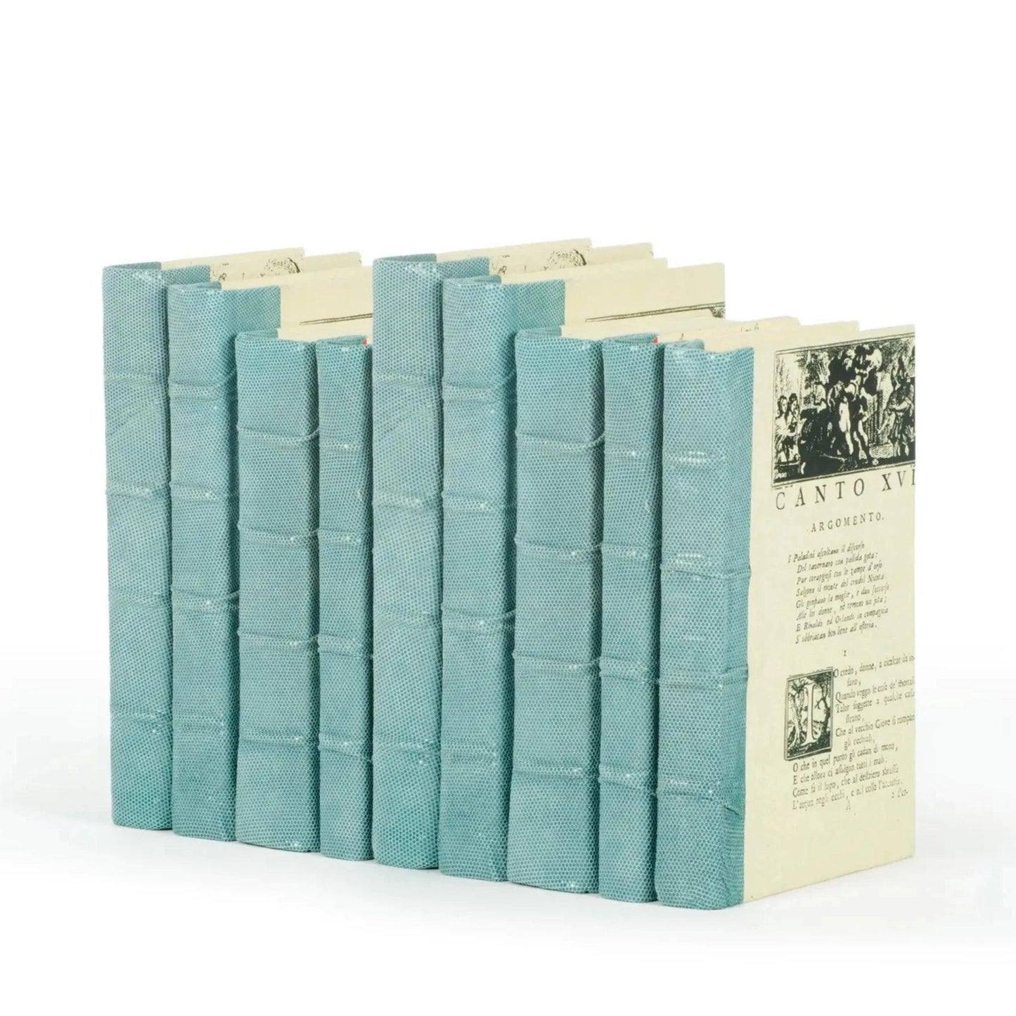 set of books with blue spines