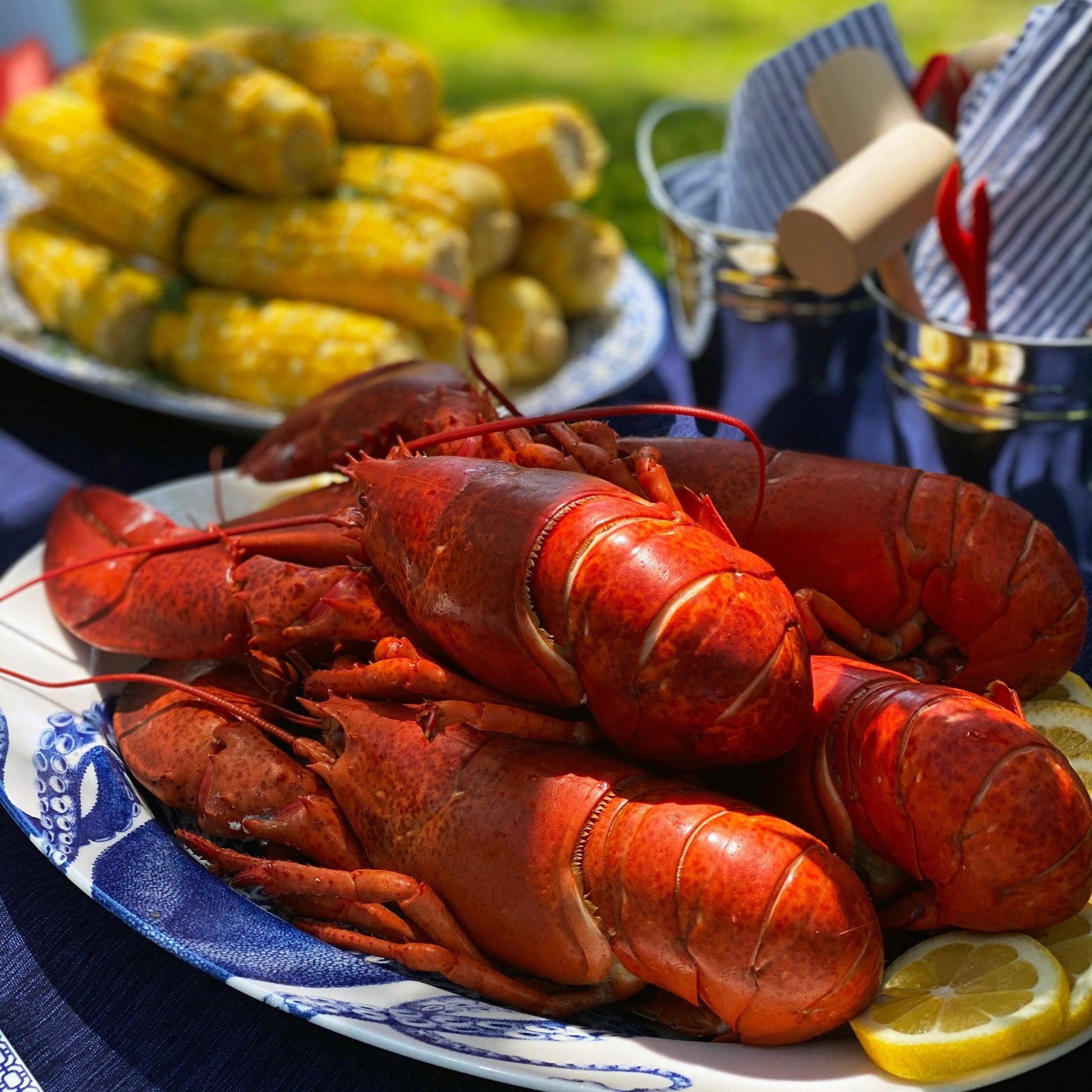 a plate of lobsters and corn on the cob