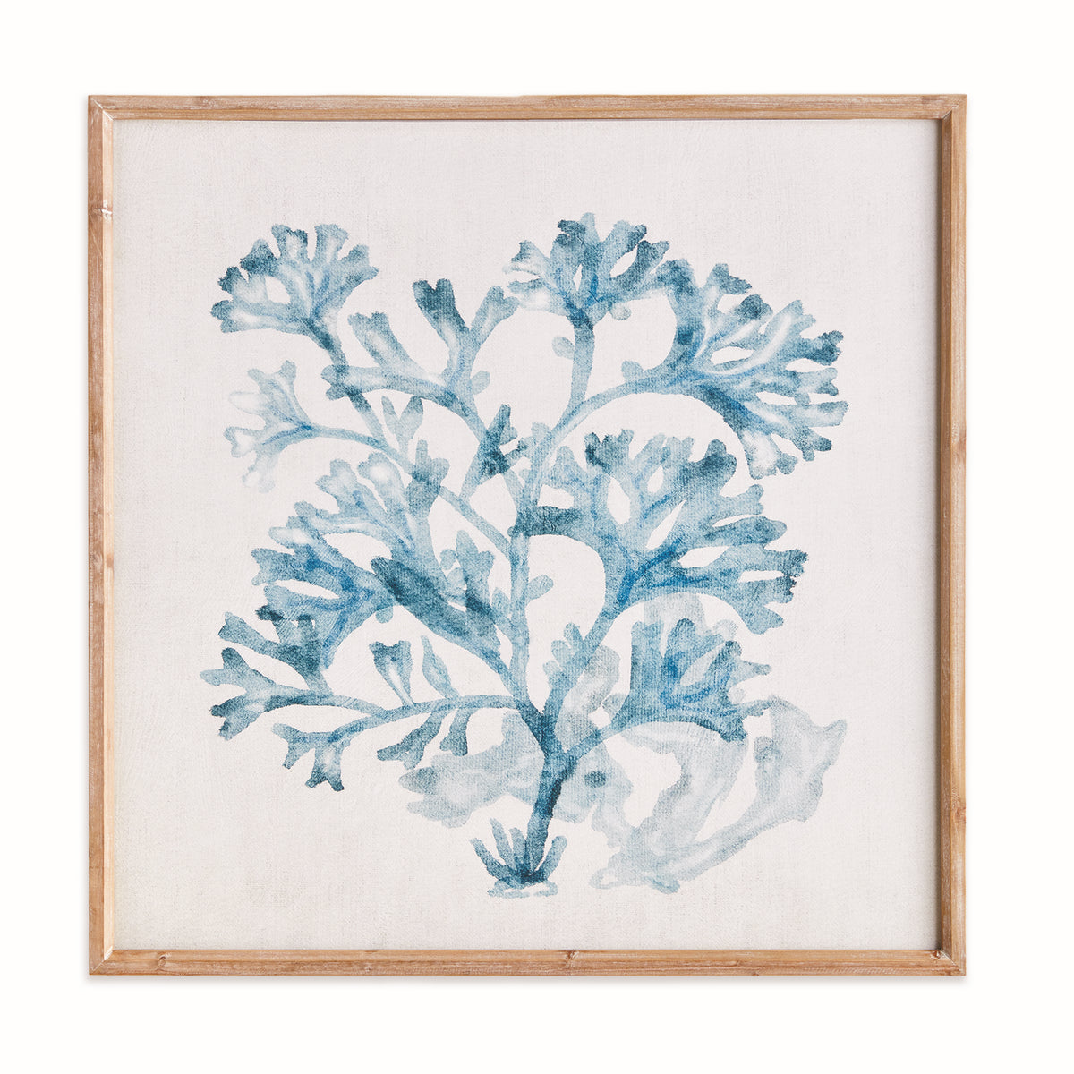 Translucent Coral Framed Print, Blue