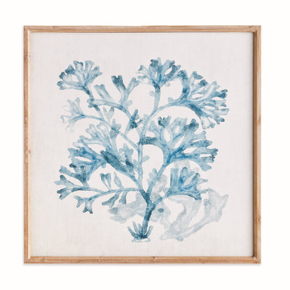 Translucent Coral Framed Print, Blue