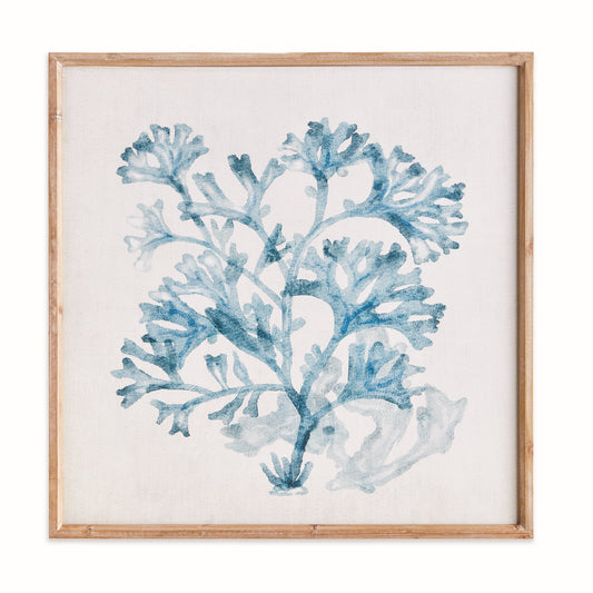 Translucent Coral Framed Print, Blue