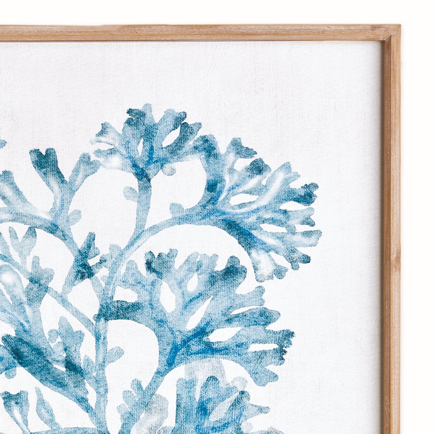 Translucent Coral Framed Print, Blue