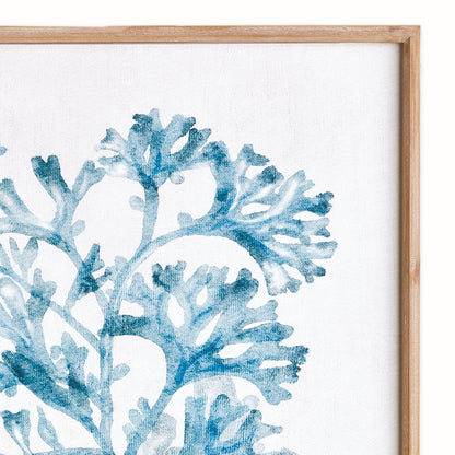 Translucent Coral Framed Print, Blue