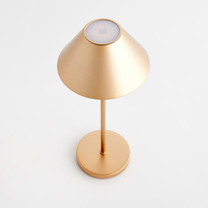 Alluna Cordless LED Lamp 14" - Coastal Champagne Gold Portable Table Lamp, Beach House Indoor & Porch Lighting