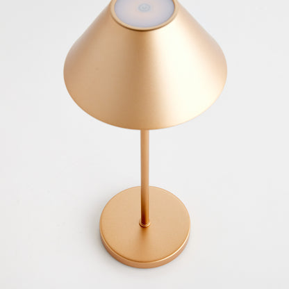Alluna Cordless LED Lamp 14" - Coastal Champagne Gold Portable Table Lamp, Beach House Indoor & Porch Lighting
