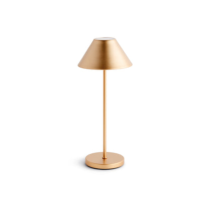 Alluna Cordless LED Lamp 14" - Coastal Champagne Gold Portable Table Lamp, Beach House Indoor & Porch Lighting