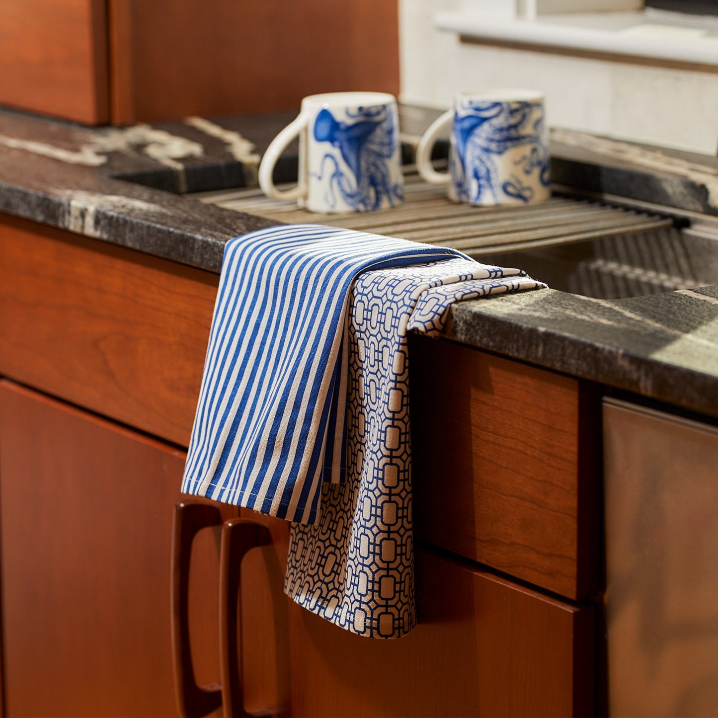 Coastal Kitchen Towels Mixed Set of 2 - Newport Garden Gate and Pinstripe Dish Towels