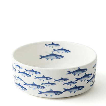 School of Fish medium white porcelain pet bowl with blue fish around the outside and inside