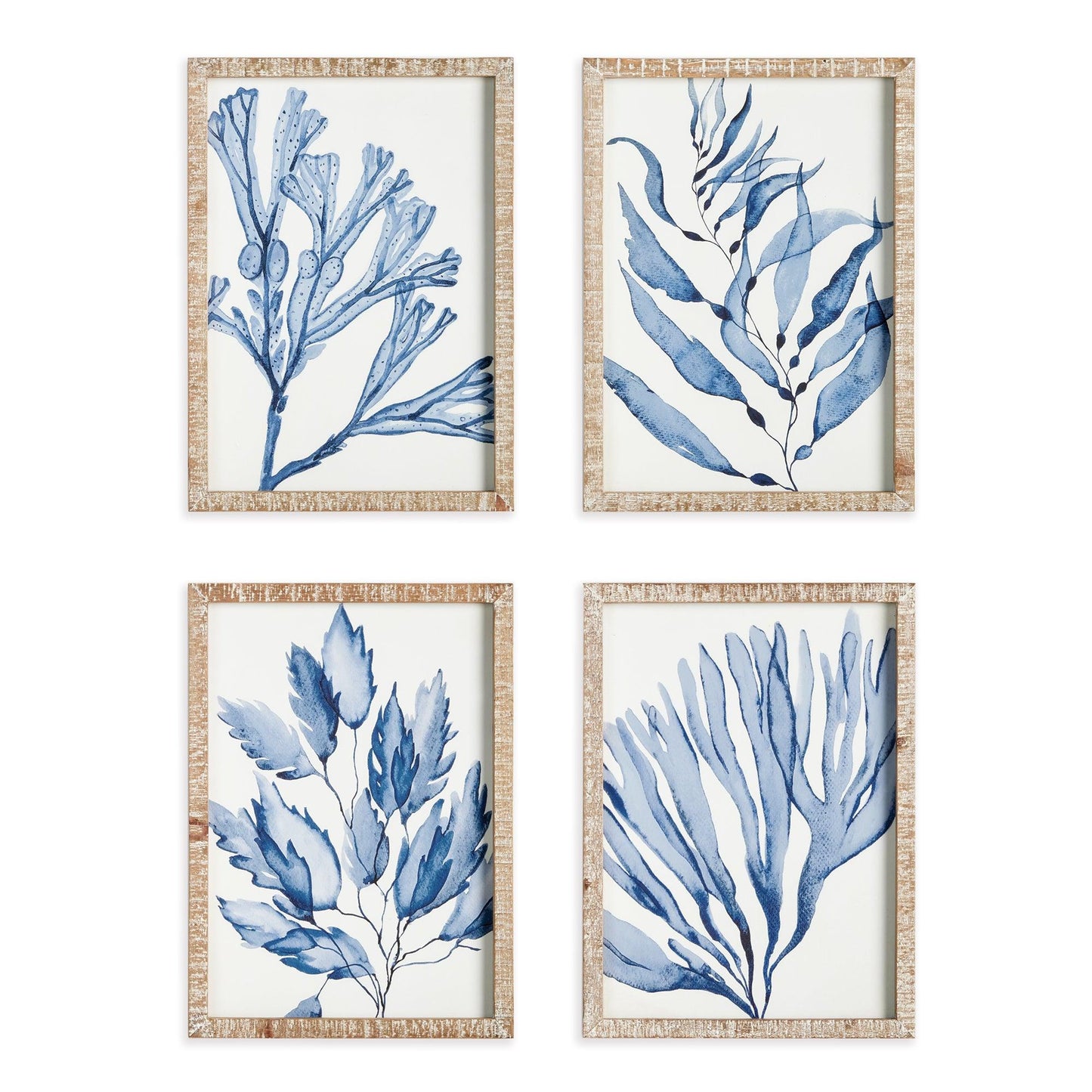 four pictures of blue coral