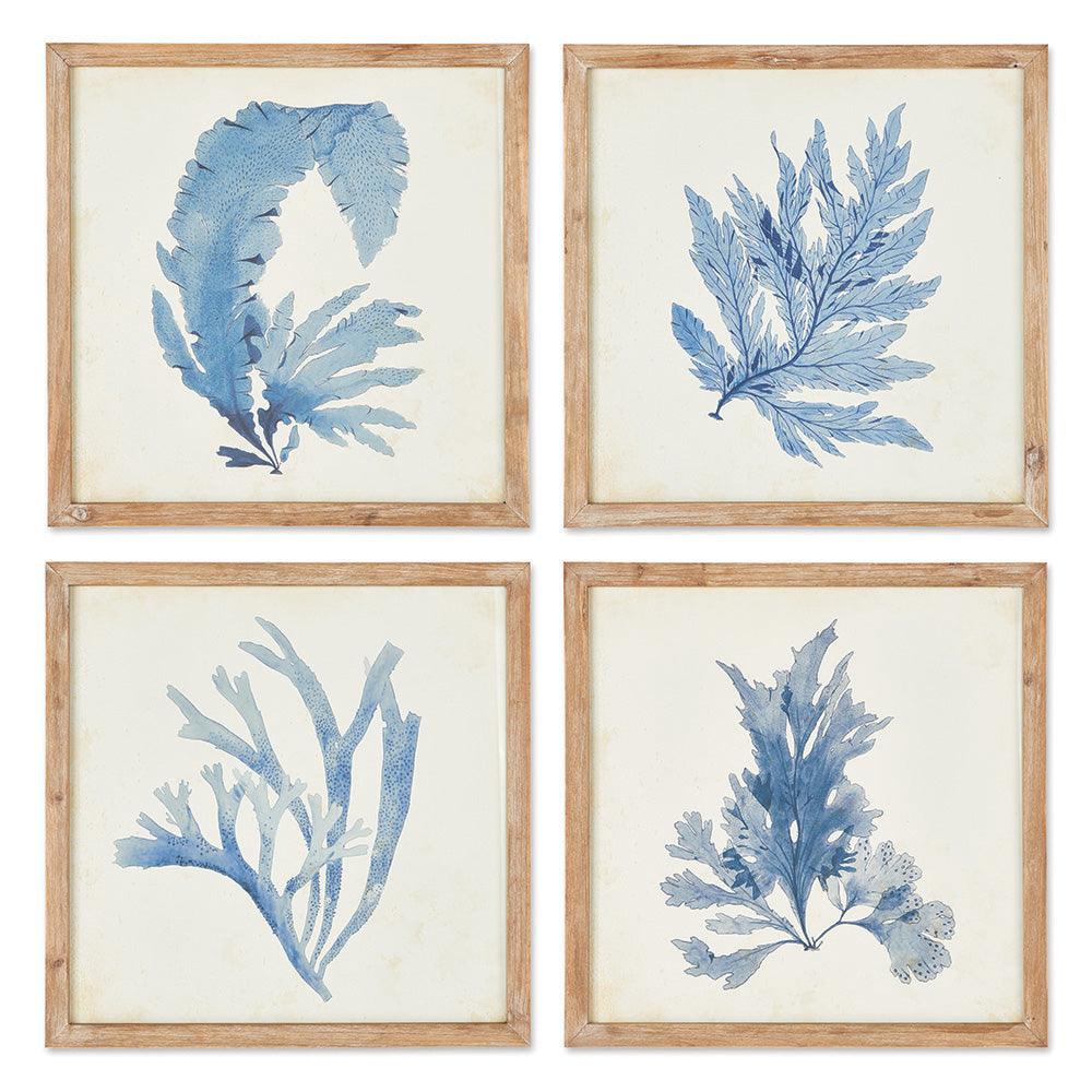 four pictures of blue coral in wood frames