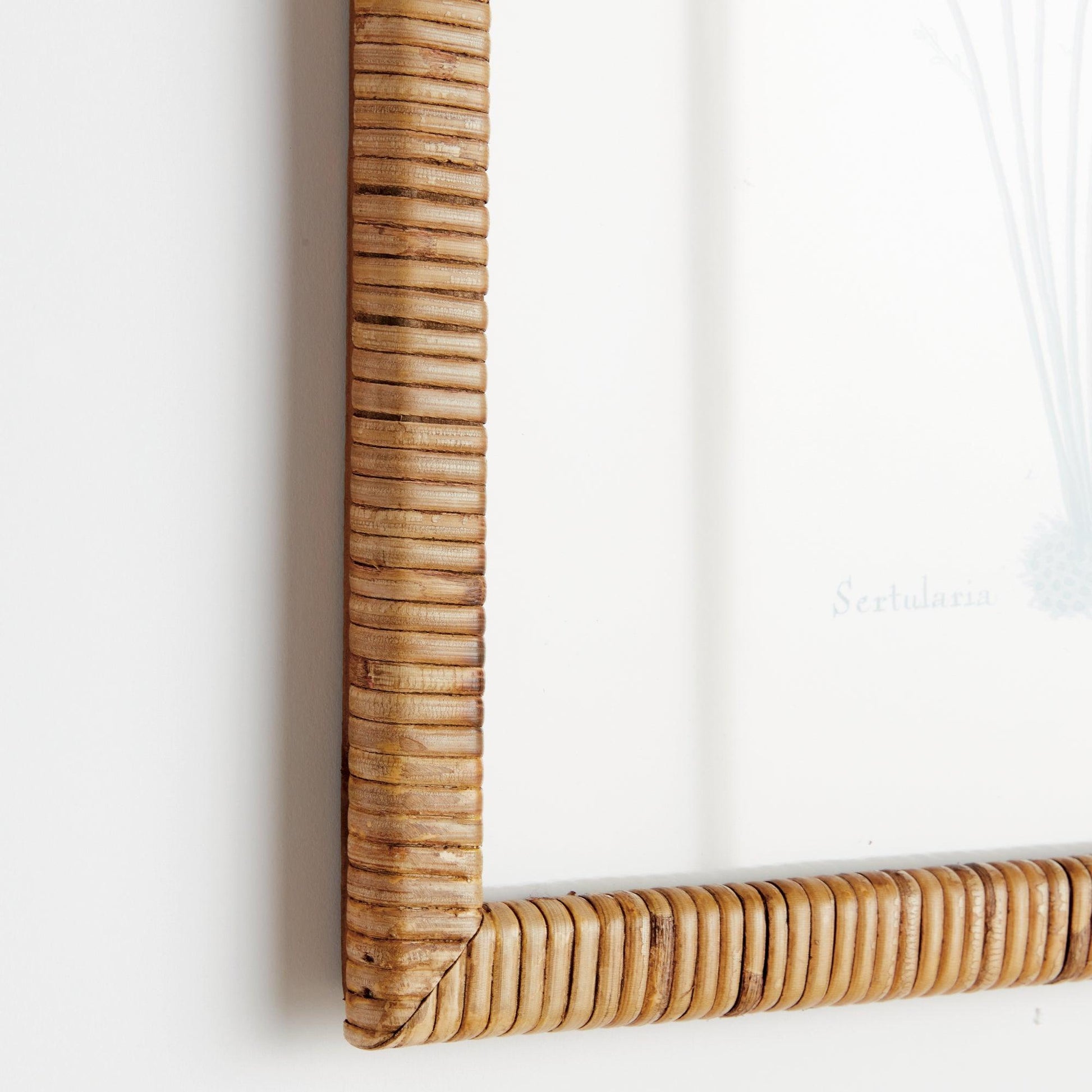 close up of rattan frame