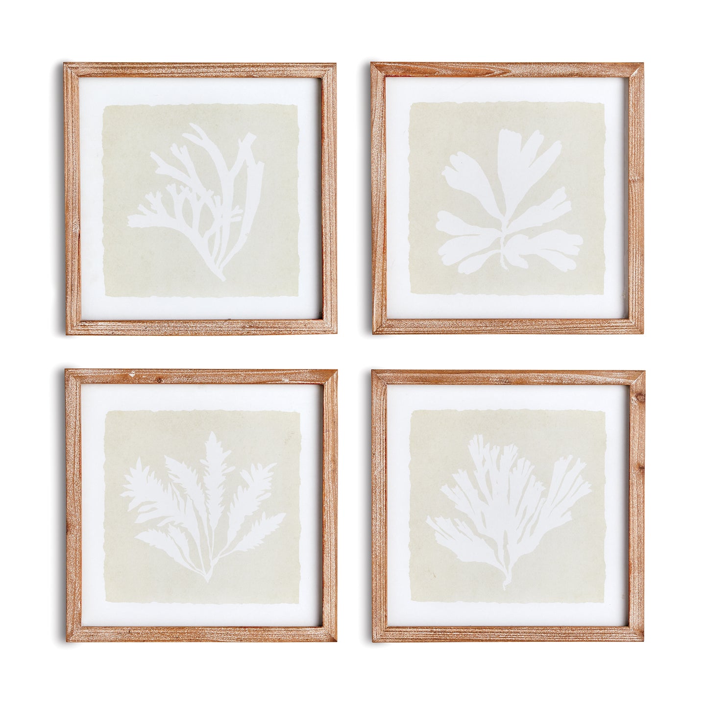 set of four seaweed prints