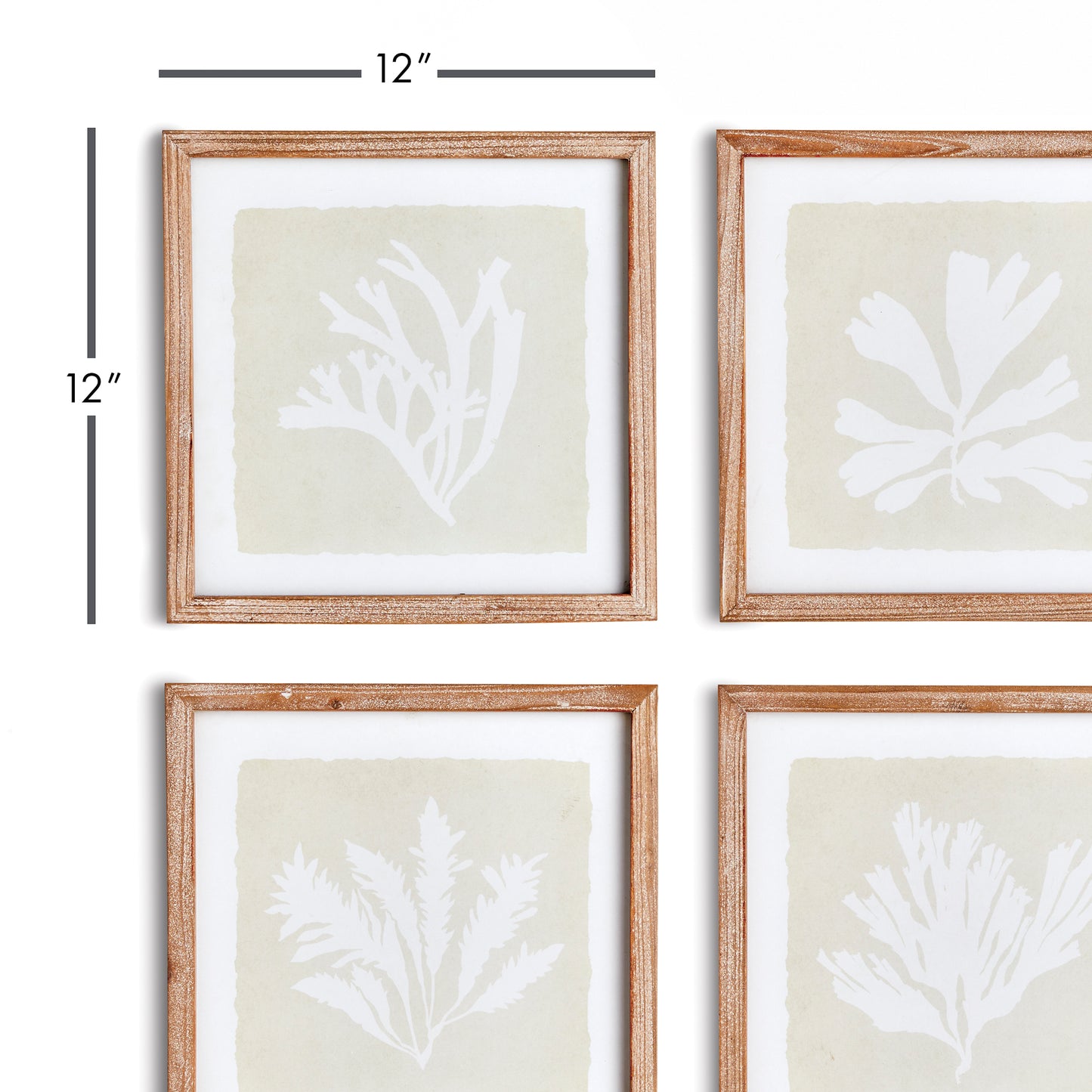 set of four seaweed prints