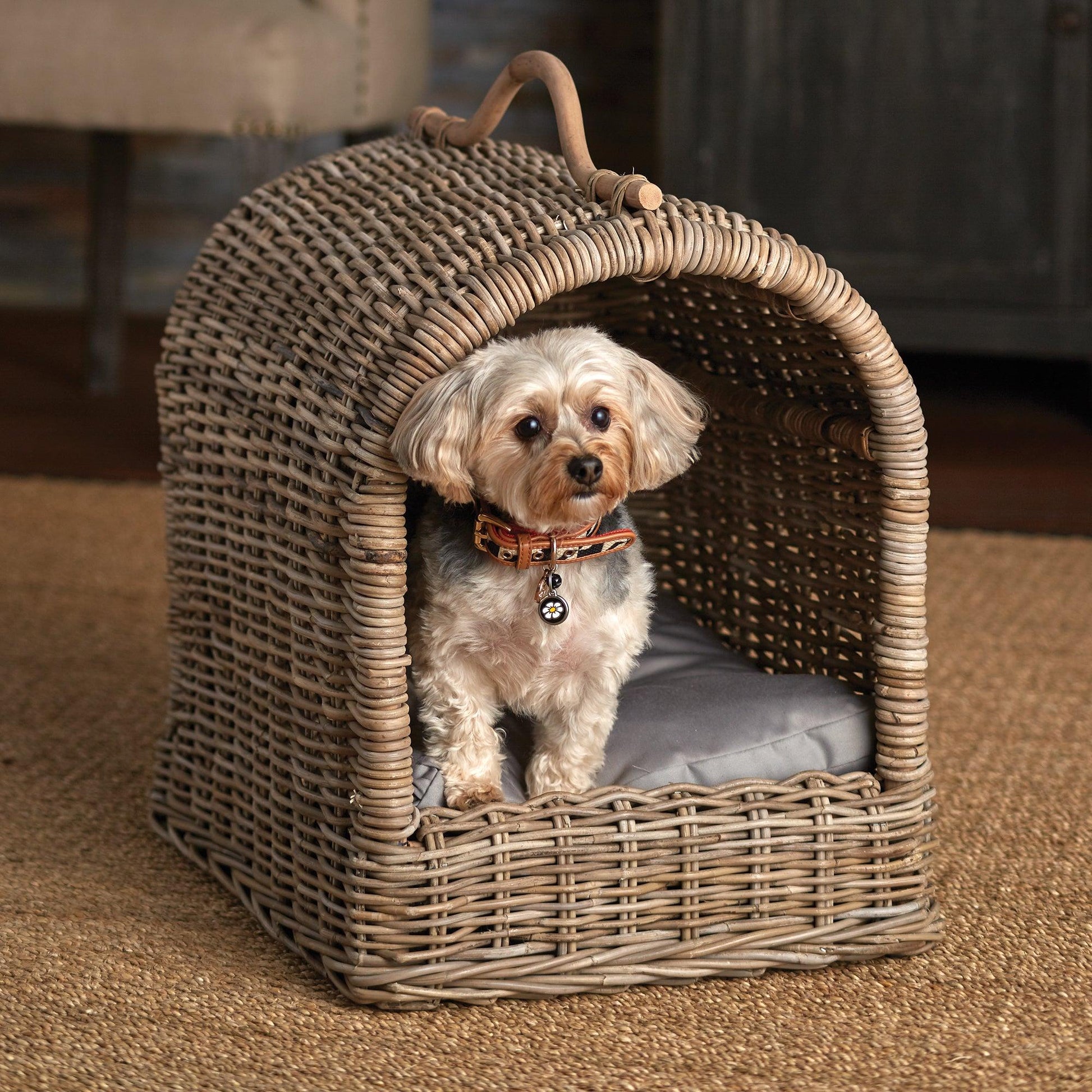 a small white dog sitting in a wicker dog bed