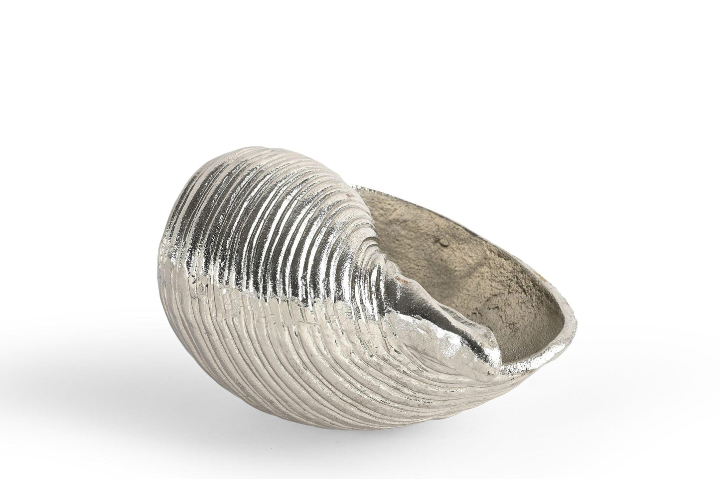 Silver shell decor 