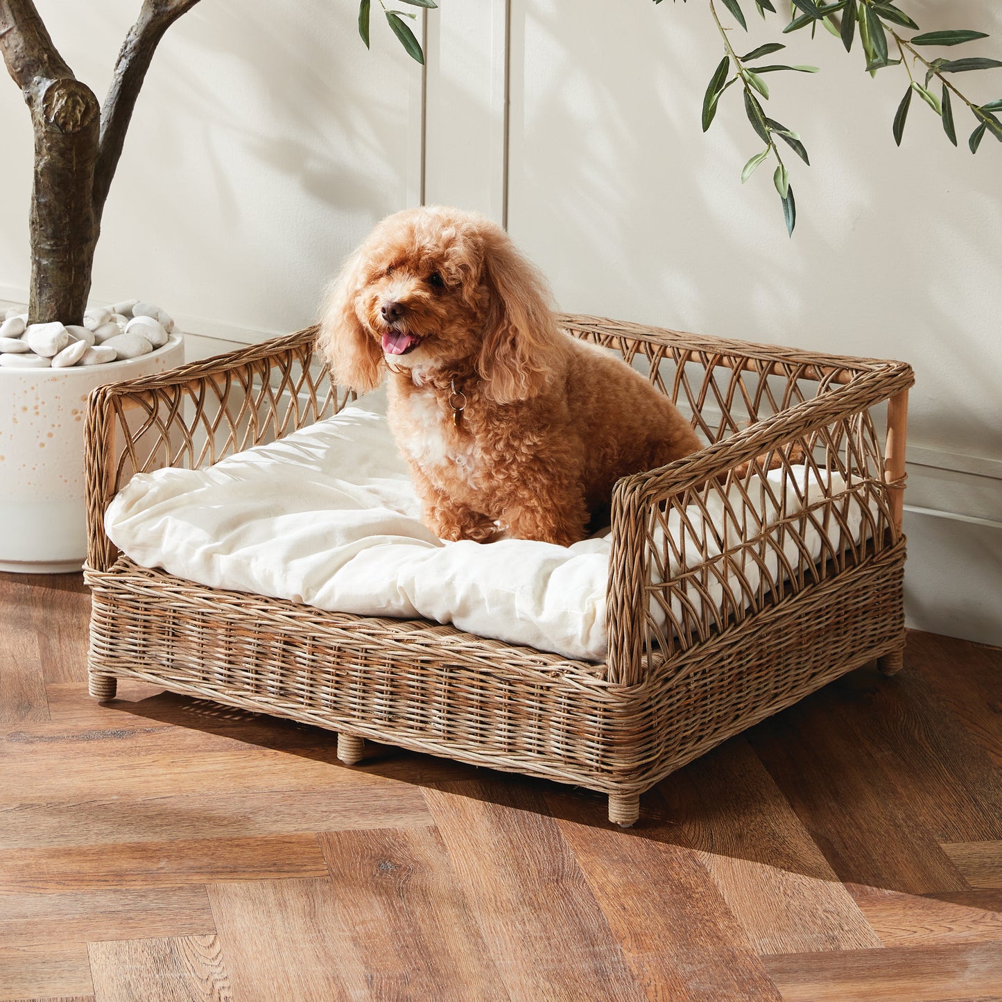 rattan dog bed with white cushion and dog sitting on it