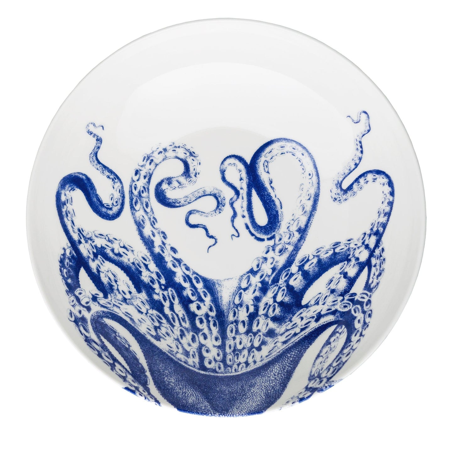 a blue and white plate with an octopus on it