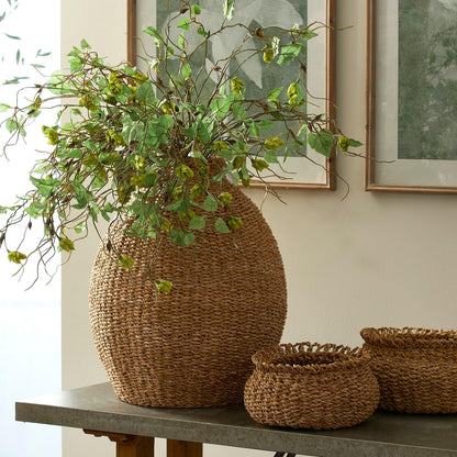 a vase with a plant in it sitting on a table