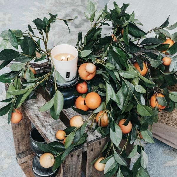 white candle on a wood box with grapefruits and leaves