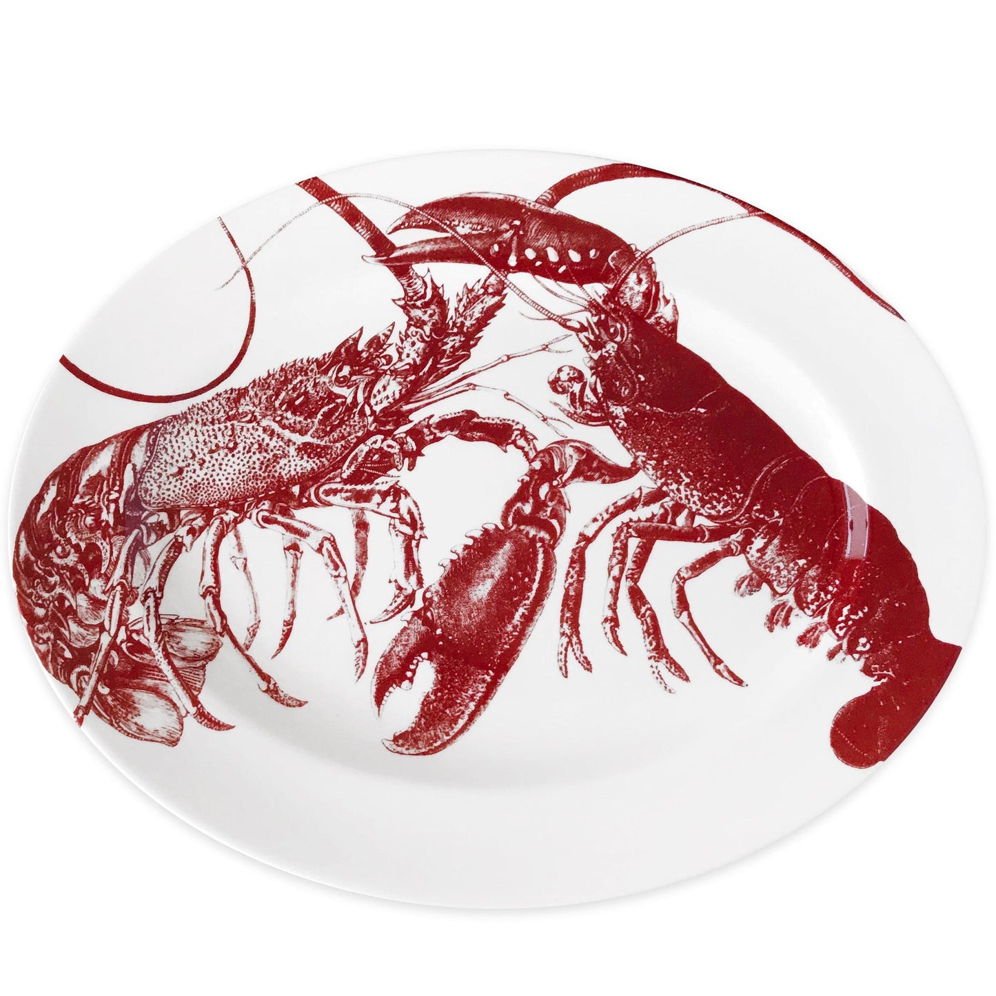 a red and white plate with a lobster on it